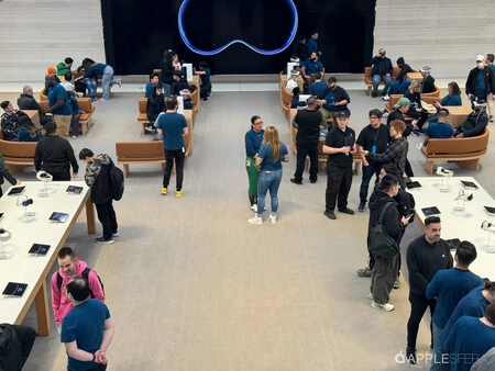 Apple Vision Pro Aps 231