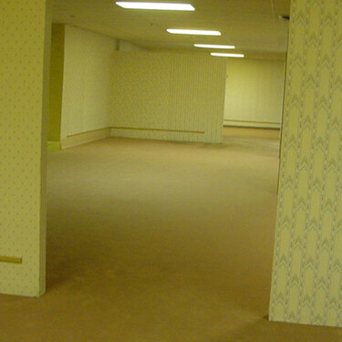 Hoy Todos Conocemos Que Son Los Backrooms Lo Que No Mucha Gente Sabe Es Que Habia En Esa Habitacion