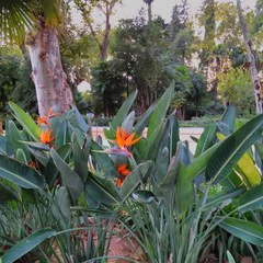 Foto 2 de 39 de la galería fotos-tomadas-con-el-nokia-2-1 en Xataka Móvil