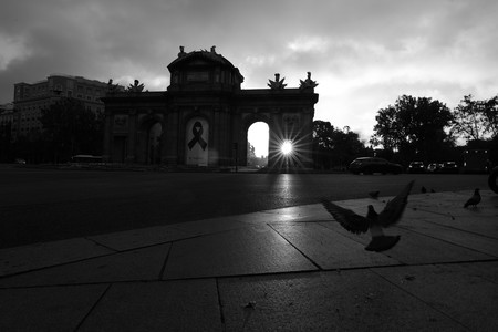 ‘Otros habitantes’, cuando las calles de Madrid cambiaron de dueño por culpa de una pandemia, por Javier Aranburu