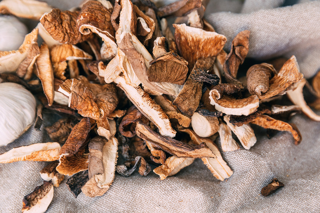 Cómo tener setas los años que no hay setas: técnicas de conservación y cultivo para disfrutarlas siempre 