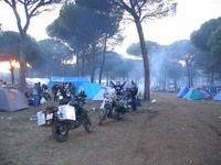 Pingüinos 2007 en marcha