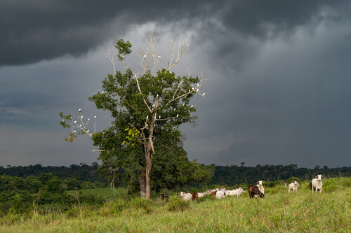 Chuva | Fonte: Getty Images