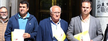 Los agricultores denuncian una manipulación de los precios en origen del aceite de oliva: "Hay un desfase injustificado" 