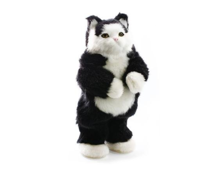 Altavoz Gato