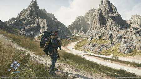 ds