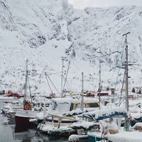 Las islas Lofoten: paisajes árticos, bacalao Skrei y auroras boreales en Noruega 