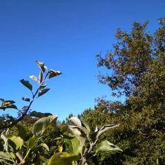 Foto 4 de 22 de la galería xiaomi-mi-max-camara-1 en Xataka Android