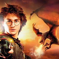 Las diez criaturas mágicas más icónicas del mundo de Harry Potter ordenadas de inofensiva a extremadamente peligrosa