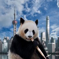 El consumidor chino tiene que consumir más, o China seguirá necesitando exportar más y más
