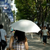 Se a pergunta é por que há tantos japoneses carregando guarda-chuvas nas ruas, a resposta é simples: por algo mais do que o sol 