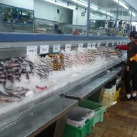 Todos os peixes que comemos estão contaminados com metilmercúrio; mas existem apenas 4 tipos específicos que devemos evitar 