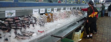 Todos os peixes que comemos estão contaminados com metilmercúrio; mas existem apenas 4 tipos específicos que devemos evitar 