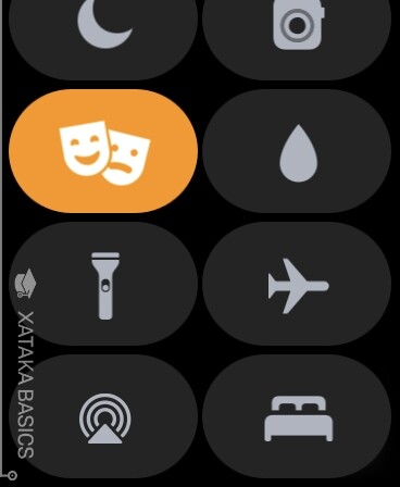 Cual es el icon online en el apple watch