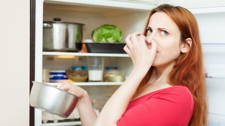 Adiós malos olores en el refri: el remedio con hojas de un árbol para tenerlo siempre fresco