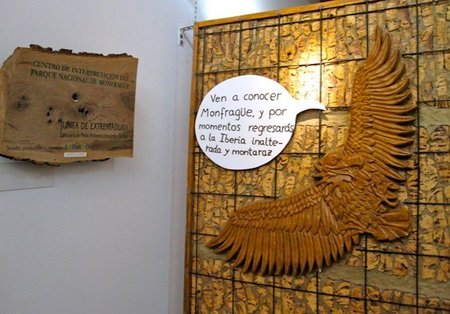 Centro Monfragüe