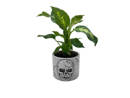 Gcp41b2ca69918c44ce800ca1aacb989a1c