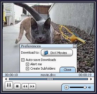 Vuelve el plugin de DivX