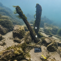 Arqueólogos suíços iam revisar as obras de uma passagem ferroviária e encontraram uma joia oculta embaixo: uma ponte romana de quase 2 mil anos 