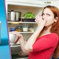 El insólito truco que pocos conocen para los malos olores de la nevera: un rollo de papel higiénico