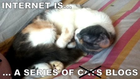 Internet is a Series of Blogs (LXVI)
