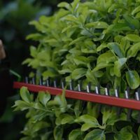 Chollo en Amazon en este cortasetos Greenworks, que nunca había estado más barato  