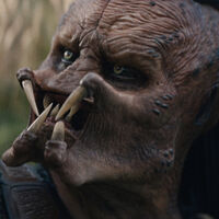 A la nueva de Predator ya la están poniendo por las nubes en Estados Unidos: "Tiene algunas de las mejores peleas que he visto en años" 