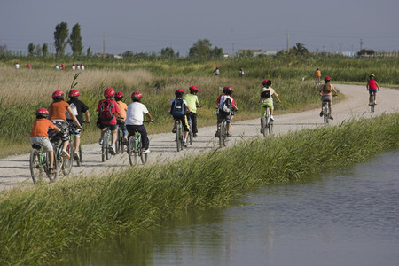 Ciclistes A Lencanyissada Autor Mariano Cebolla Arxiu Pnde