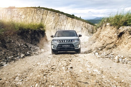 Suzuki Traccion Total 1