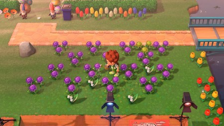 Animal Crossing: New Horizons: cómo conseguir la regadera de oro
