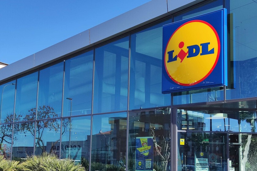 Lidl 15