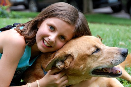 Obligaciones ley bienestar animal perros