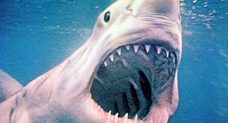 Blue Water White Death Rotten Tomatoes