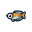 Rainbow Fish
