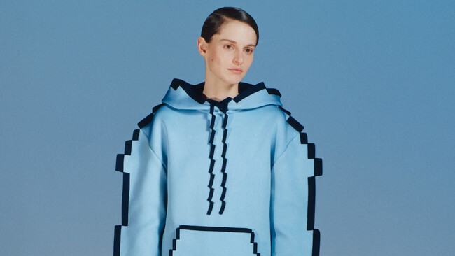 Imagen De Loewe Minecraft