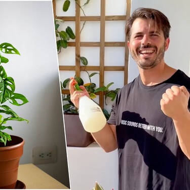 Álvaro Pedrera, experto en plantas: "El tutor de musgo no es imprescindible para que una planta trepadora pueda crecer bien"