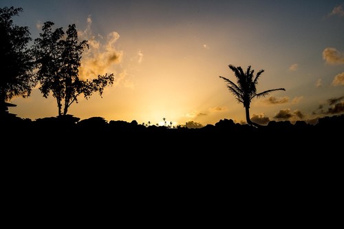 Ésta la mejor isla del mundo y en ella podrás encontrar cosas extraordinarias 