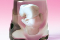 Curioso regalo para las embarazadas: una réplica del feto