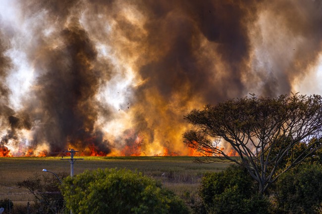 Pexels Alexandrep Junior 12027861