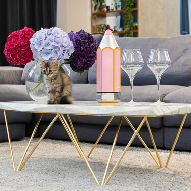 La solución definitiva de una pareja con gatos para que la decoración de su casa no salte por los aires constantemente 