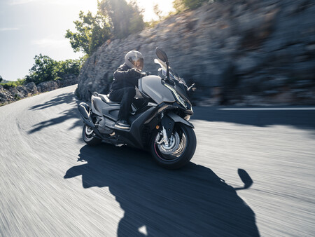 Ak Premium Accion Carretera Marron 23