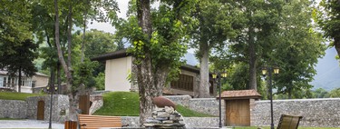 Ojo si tu árbol o seto invade la distancia legal: podrías verte obligado a podarlo o enfrentarte a sanciones