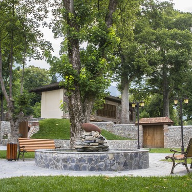 Si tu árbol está a menos de 2 metros del vecino o tu seto tiene menos de 50 cm de separación, vas a estar obligado a podarlo si no quieres enfrentarte a una sanción 