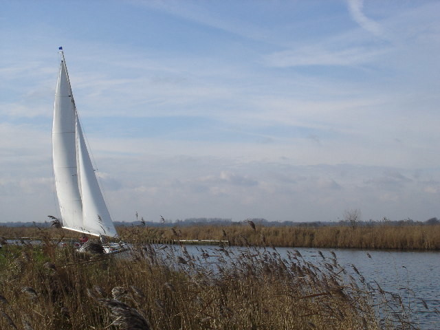 Las Fenlands: las tierras inglesas de los granjeros demacrados