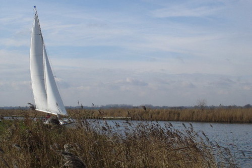 Las Fenlands: las tierras inglesas de los granjeros demacrados