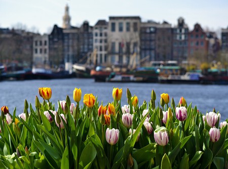 Amsterdam 4350882 1920