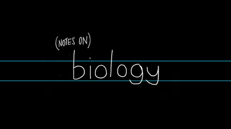 "(Notes on) Biology", posiblemente, uno de los mejores stop motion del momento