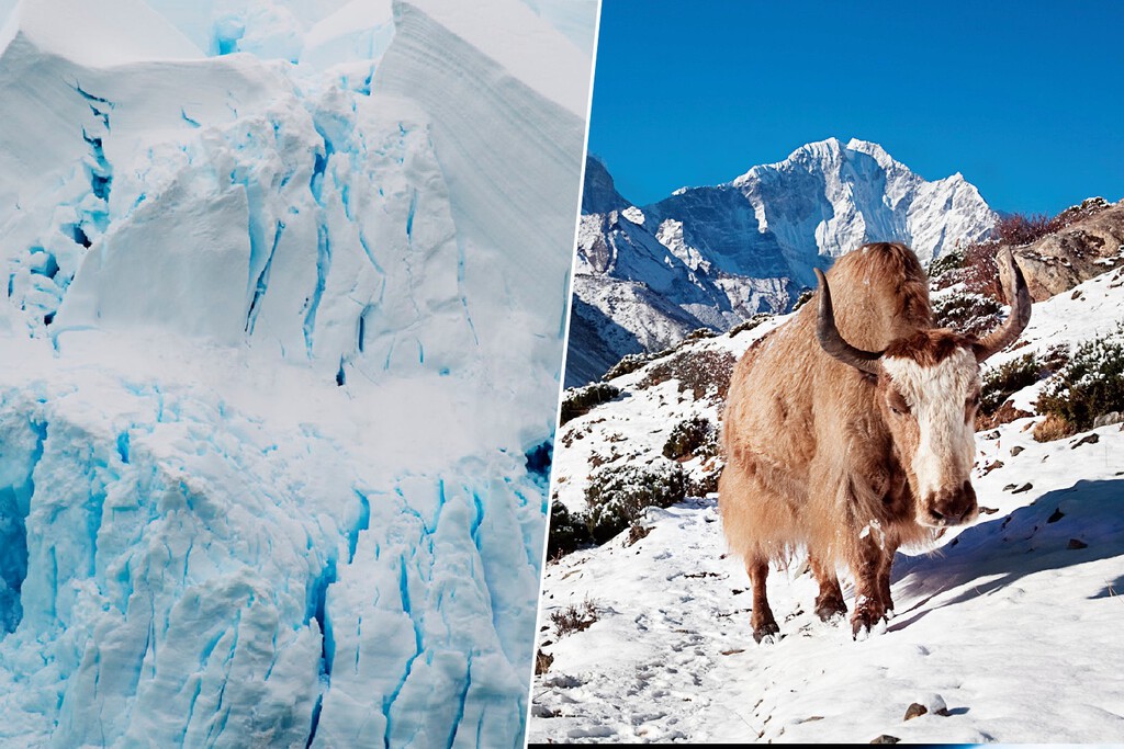 La cima de un glaciar escondía vida milenaria: 1.700 virus zombis desconocidos. Los hemos bajado para analizarlos