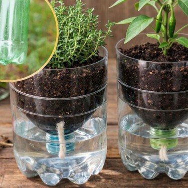 Tres ideas para aprovechar en casa la parte inferior de las botellas de plástico: puedes hacer macetas para tus plantas 