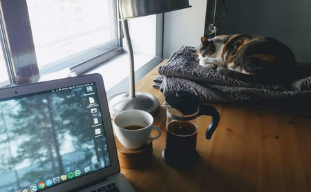 Las mejores webs contra el aburrimiento para pasar los días de encierro y escapar de las redes sociales